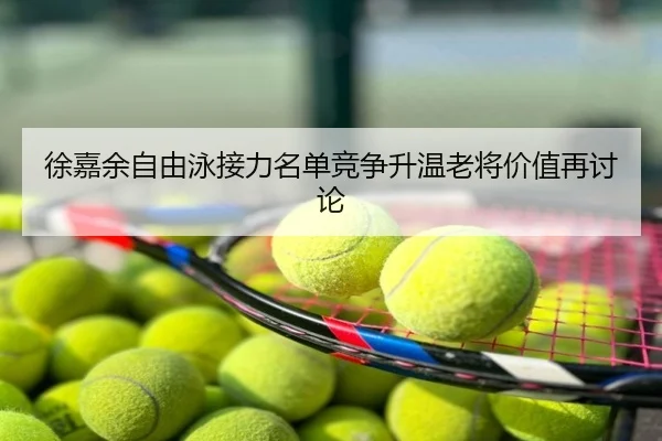 徐嘉余自由泳接力名单竞争升温老将价值再讨论