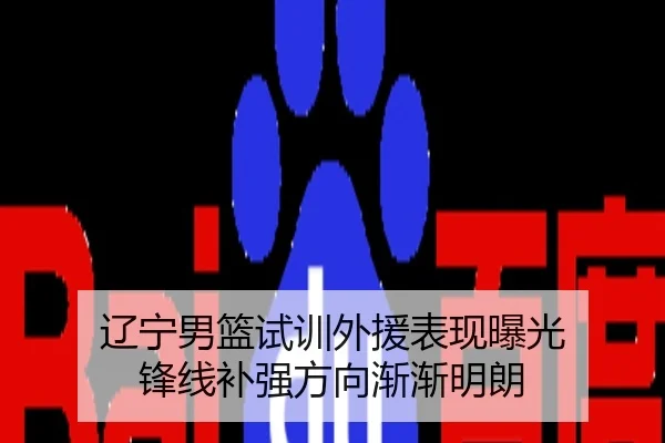 辽宁男篮试训外援表现曝光 锋线补强方向渐渐明朗