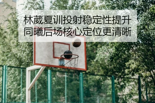 林葳夏训投射稳定性提升 同曦后场核心定位更清晰