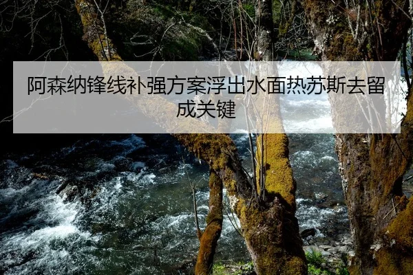 阿森纳锋线补强方案浮出水面热苏斯去留成关键