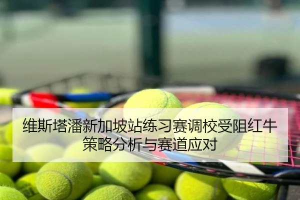维斯塔潘新加坡站练习赛调校受阻红牛策略分析与赛道应对